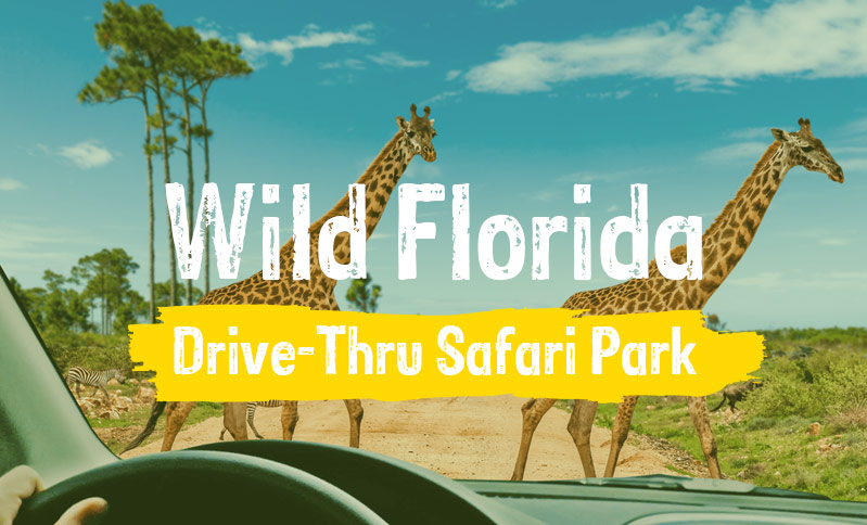 drive thru safari park wild florida