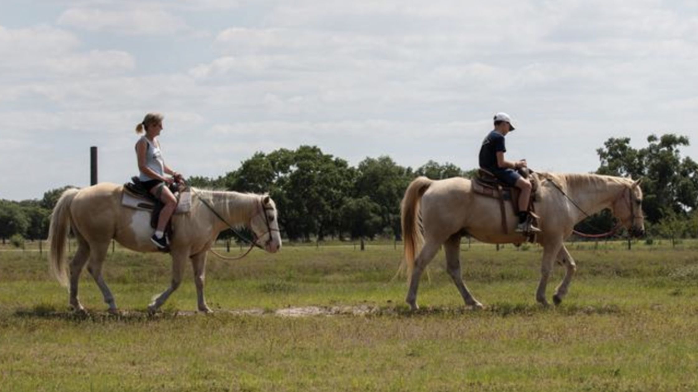 two horseback riders in a grassy field